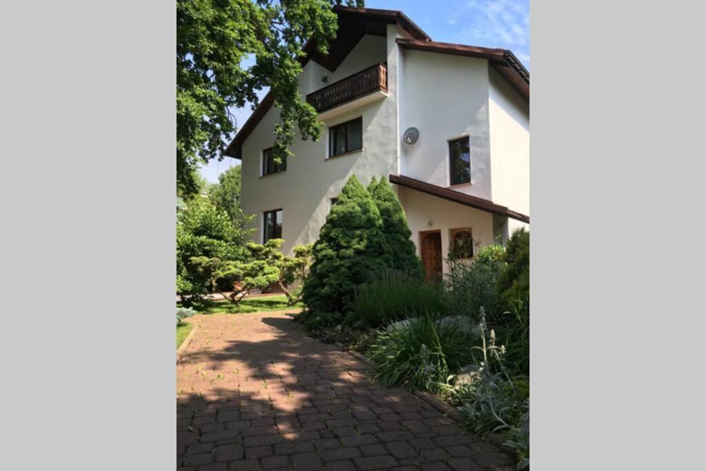 Appartement Hidden Gem Garden à Cracovie Extérieur photo